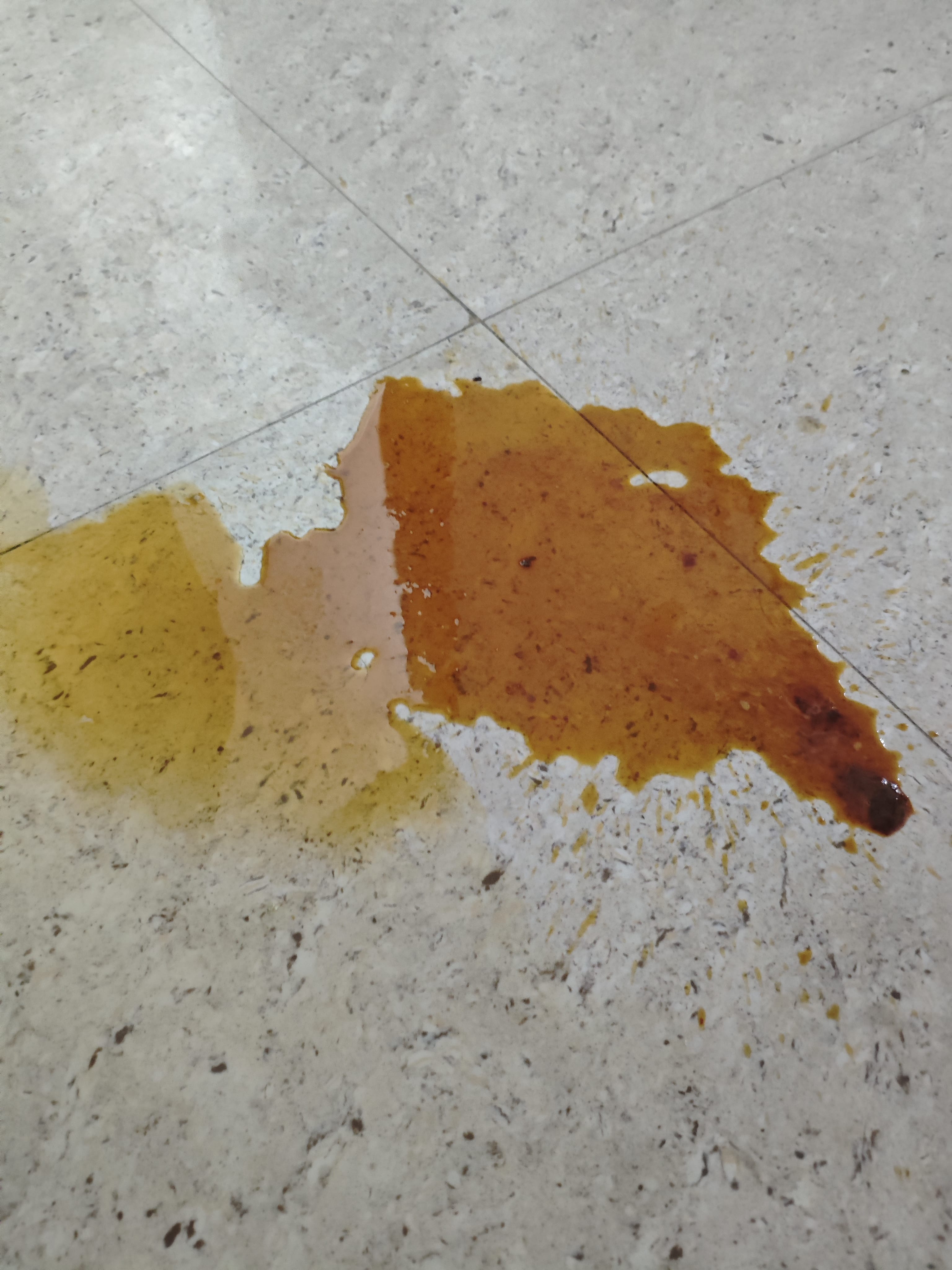 Medical documentation of Liko's condition